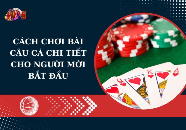 Cách chơi bài câu cá chi tiết cho người mới bắt đầu